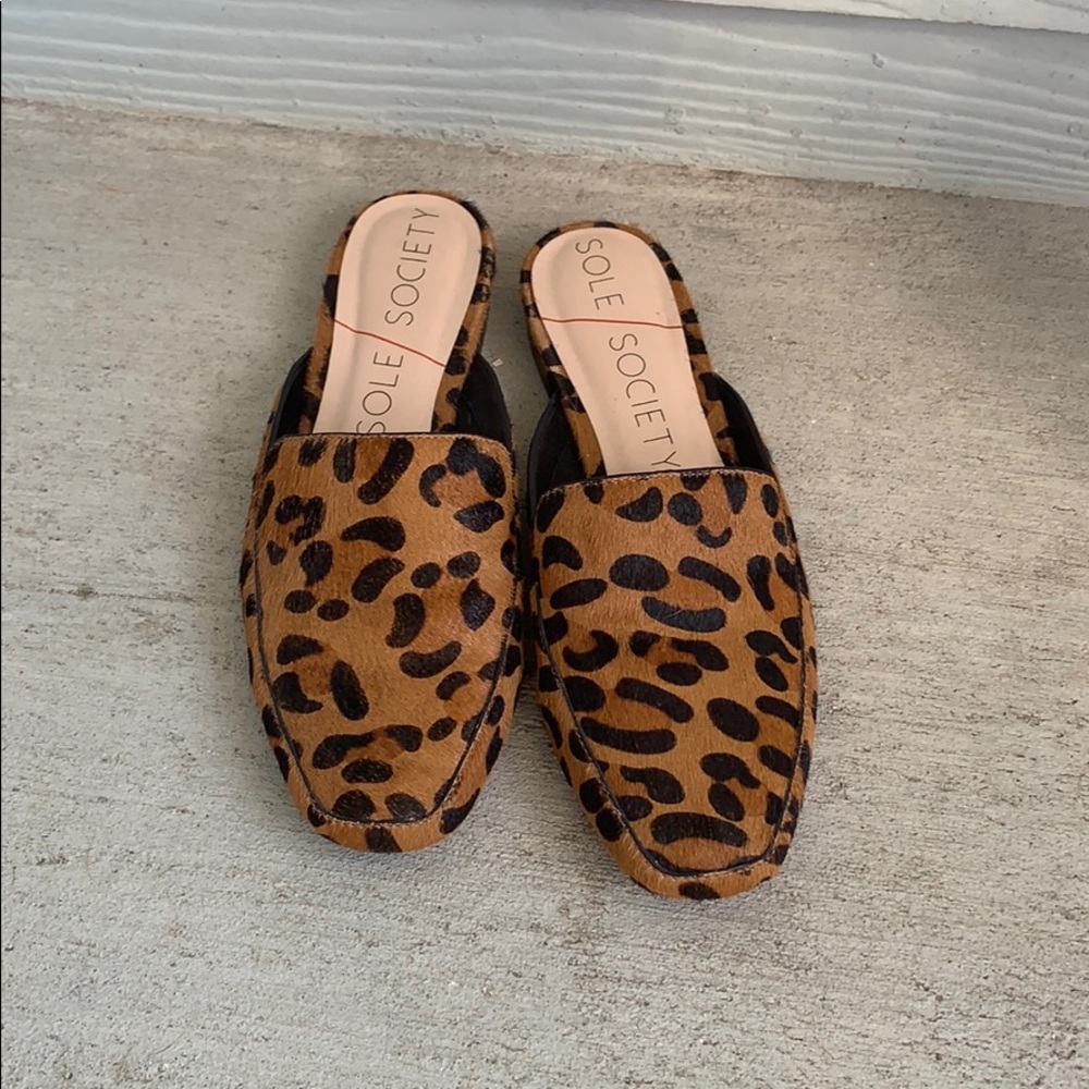 Sole Society leopard mules | size 7.5